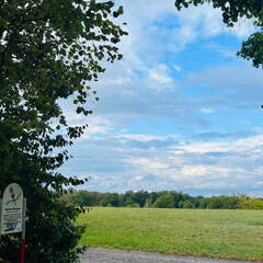 22-09-10 18-01-14 1979